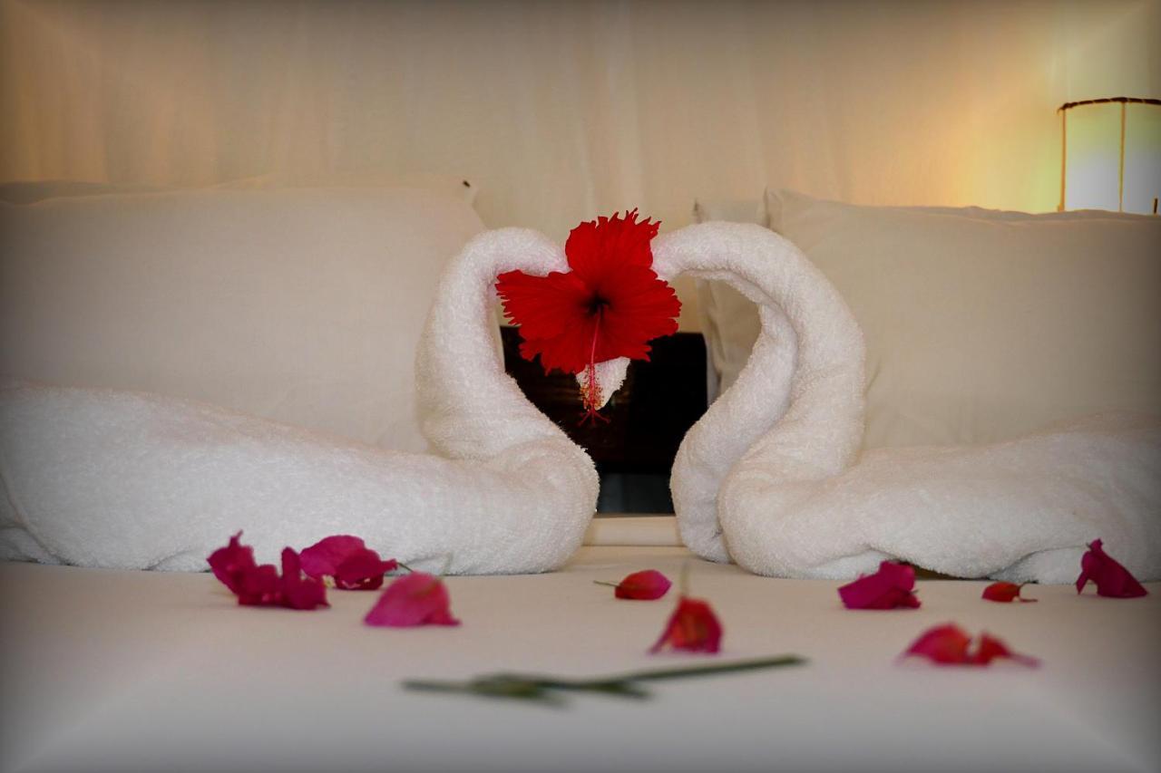 Nyumba Ya Paka Boutique Hotel มาลินดี ภายนอก รูปภาพ